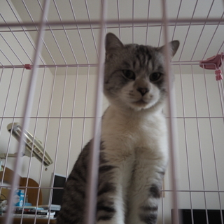 ぎんちゃんです(=^..^=)