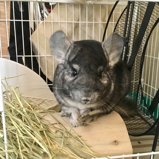 助けてください、、