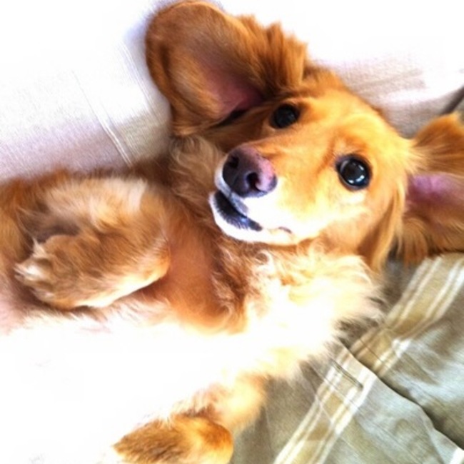 EMIちゃんのカバー写真
