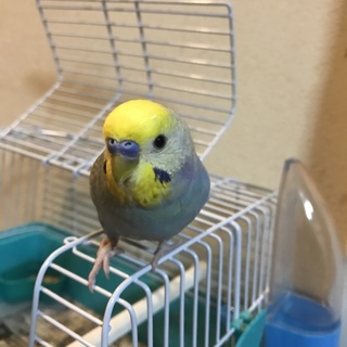 決まりました。ありがとうございます！