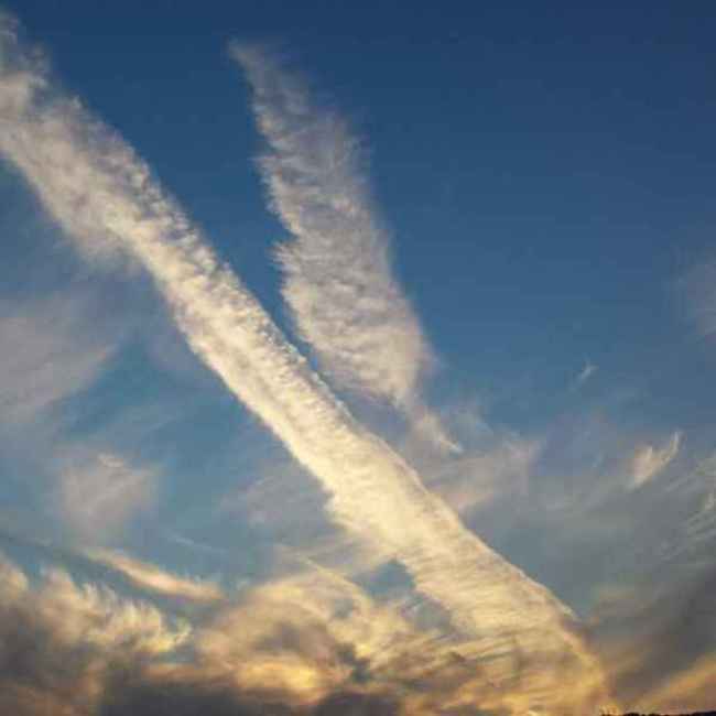 てんまる118のカバー写真