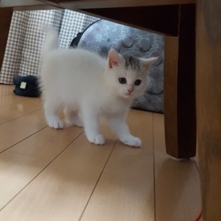 我が家に来て1週間