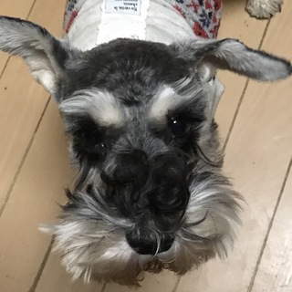 甘えたで元気な女の子♪