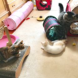 「Welcome to our home!」サムネイル3