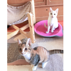 「Welcome to our home!」サムネイル1