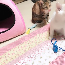 「Welcome to our home!」サムネイル2