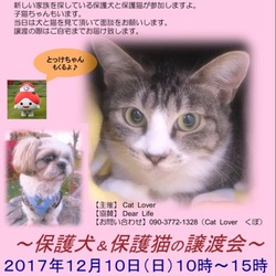 トヨペットで出会うペットとの暮らし