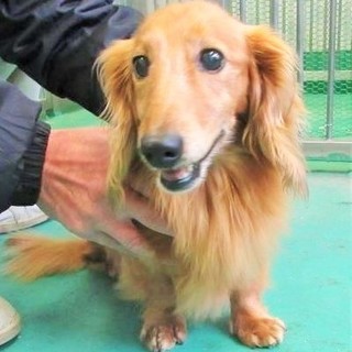 センターにお迎えがありました。