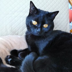 「至福のひと時」サムネイル1