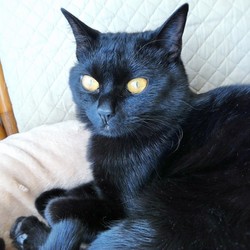 「至福のひと時」サムネイル3