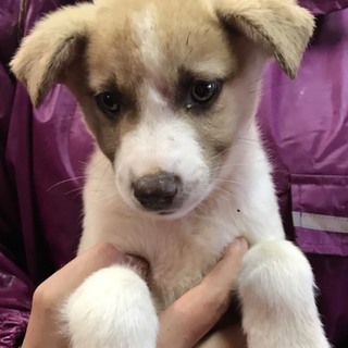 ♂４８９里親さん募集です(^-^)