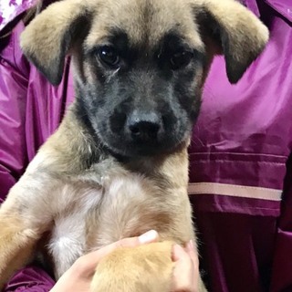 ♂３９０里親さん募集です(^-^)