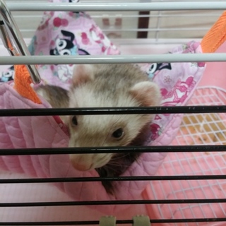 ありがとうございました