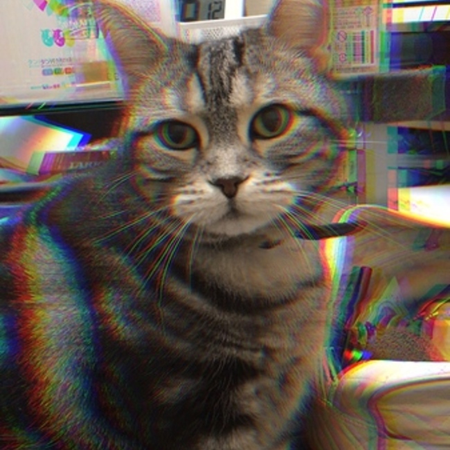ねこあずのカバー写真