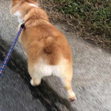 の写真