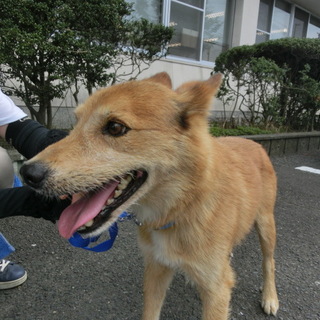 譲渡されました！！