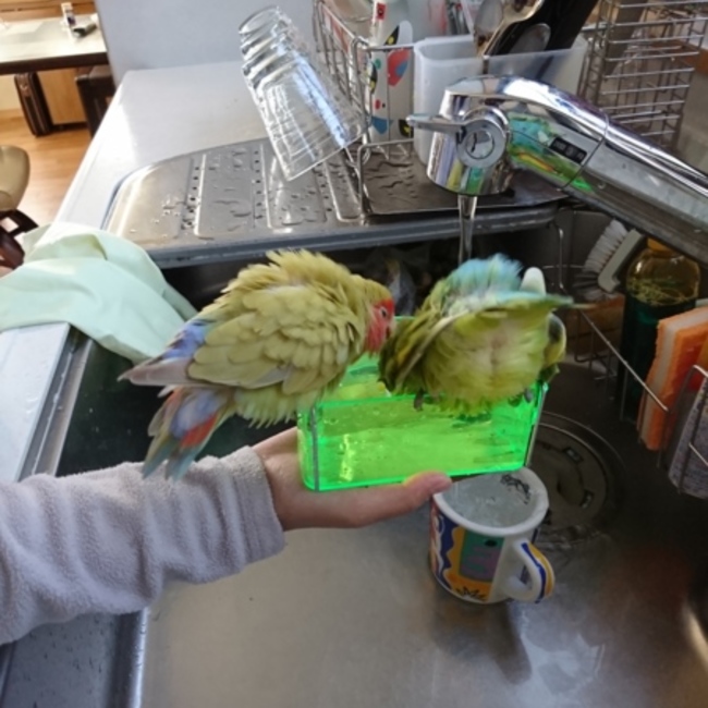 サントラのカバー写真