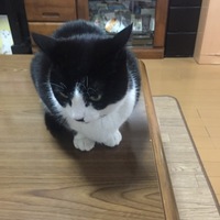 ナル