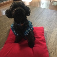ビータ
