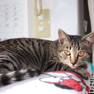 お膝大好きごろすりあてるい君