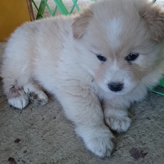 可愛い姉妹です①