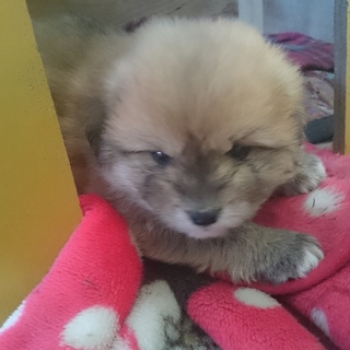 可愛い姉妹です③