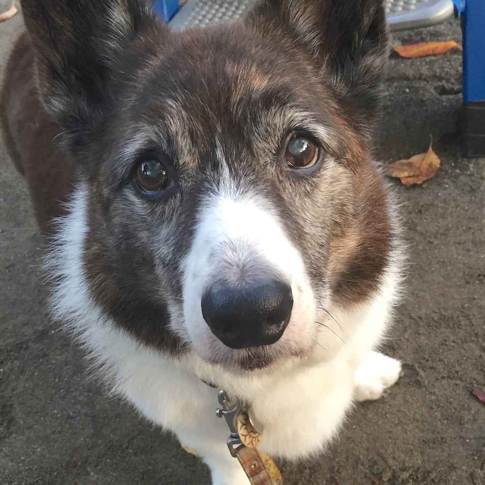 JOY（ジョイ）のカバー写真