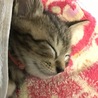 まちりん