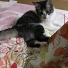家族になれたらいいな