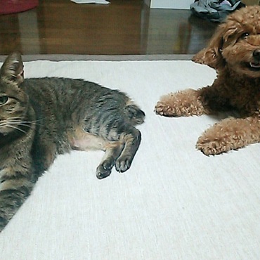 まりあとうめ