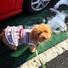 の写真