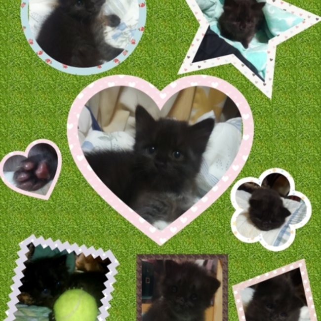 おばちゃんのカバー写真