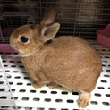 よろしくお願い致します。