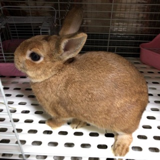 よろしくお願い致します。