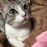 takakb