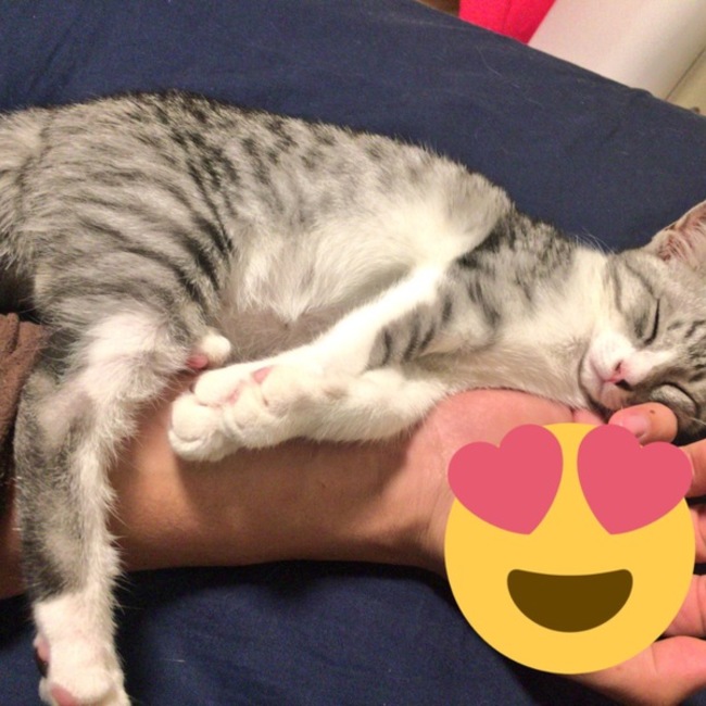 takakbのカバー写真
