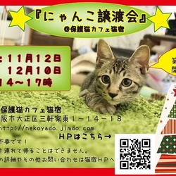 にゃんこ譲渡会