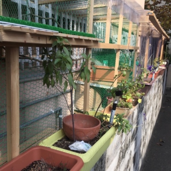 ラブちゃんパパのカバー写真