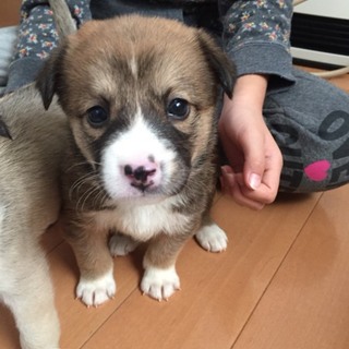 ♂５０４里親さん募集です( ^ω^ )