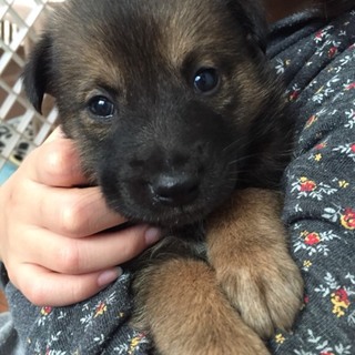 ♂５０６里親さん募集です( ^ω^ )