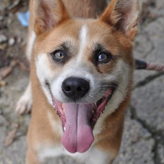 とっても明るいサンペイ♡