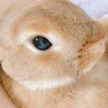 の写真