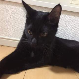 レオン♥とっても元気な男の子！