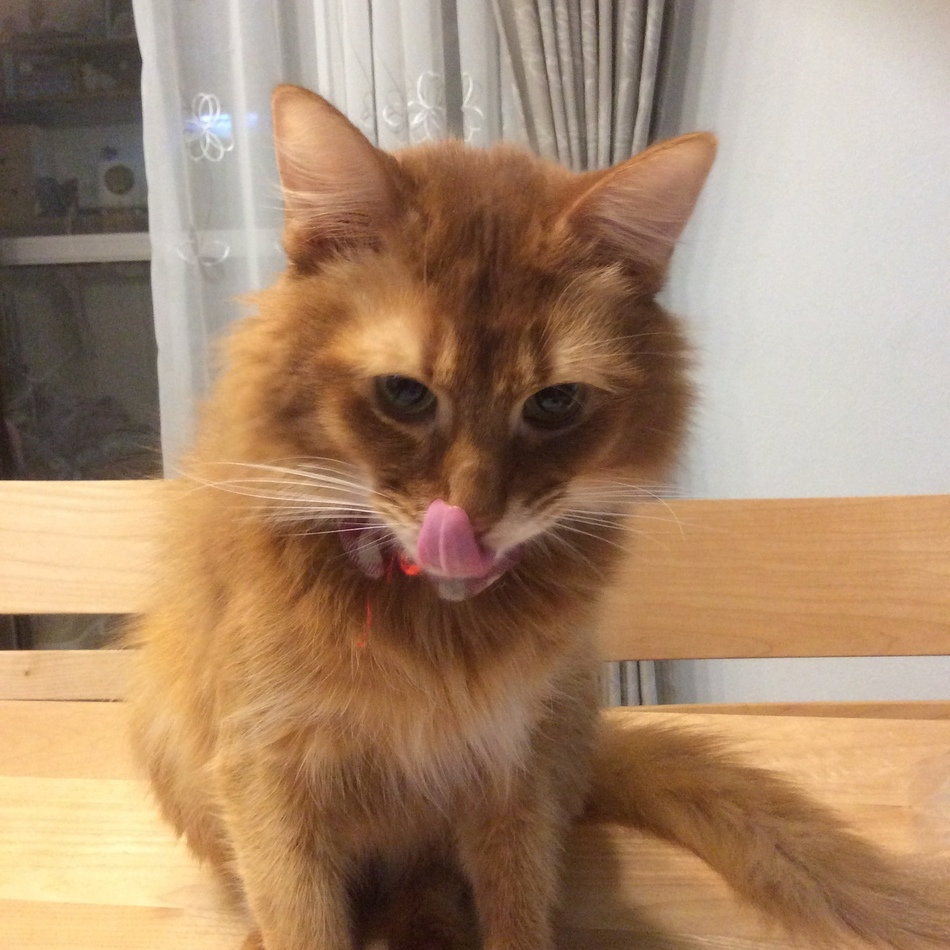 空くんのカバー写真