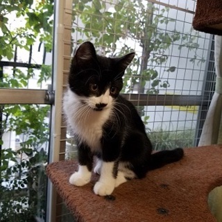 人見知りは最初だけのグルグルちゃん