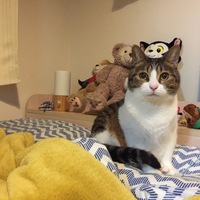 きじっち