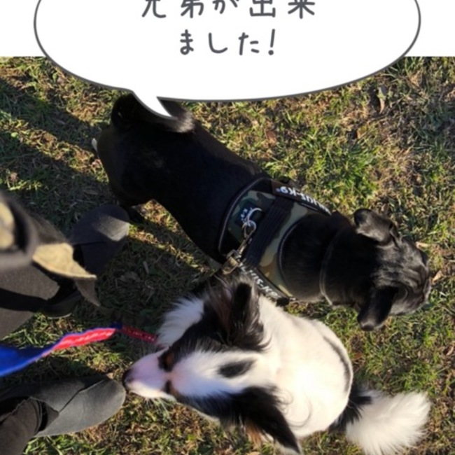 mikasnetのカバー写真