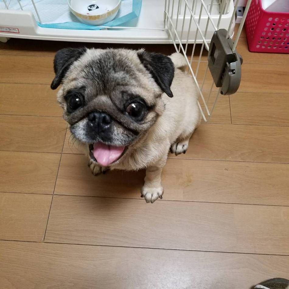 福のカバー写真