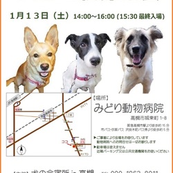 「犬の合宿所in高槻」の里親募集会 サムネイル1