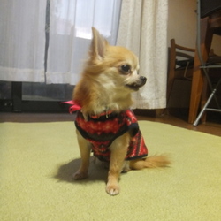 今日は　寒いですね～